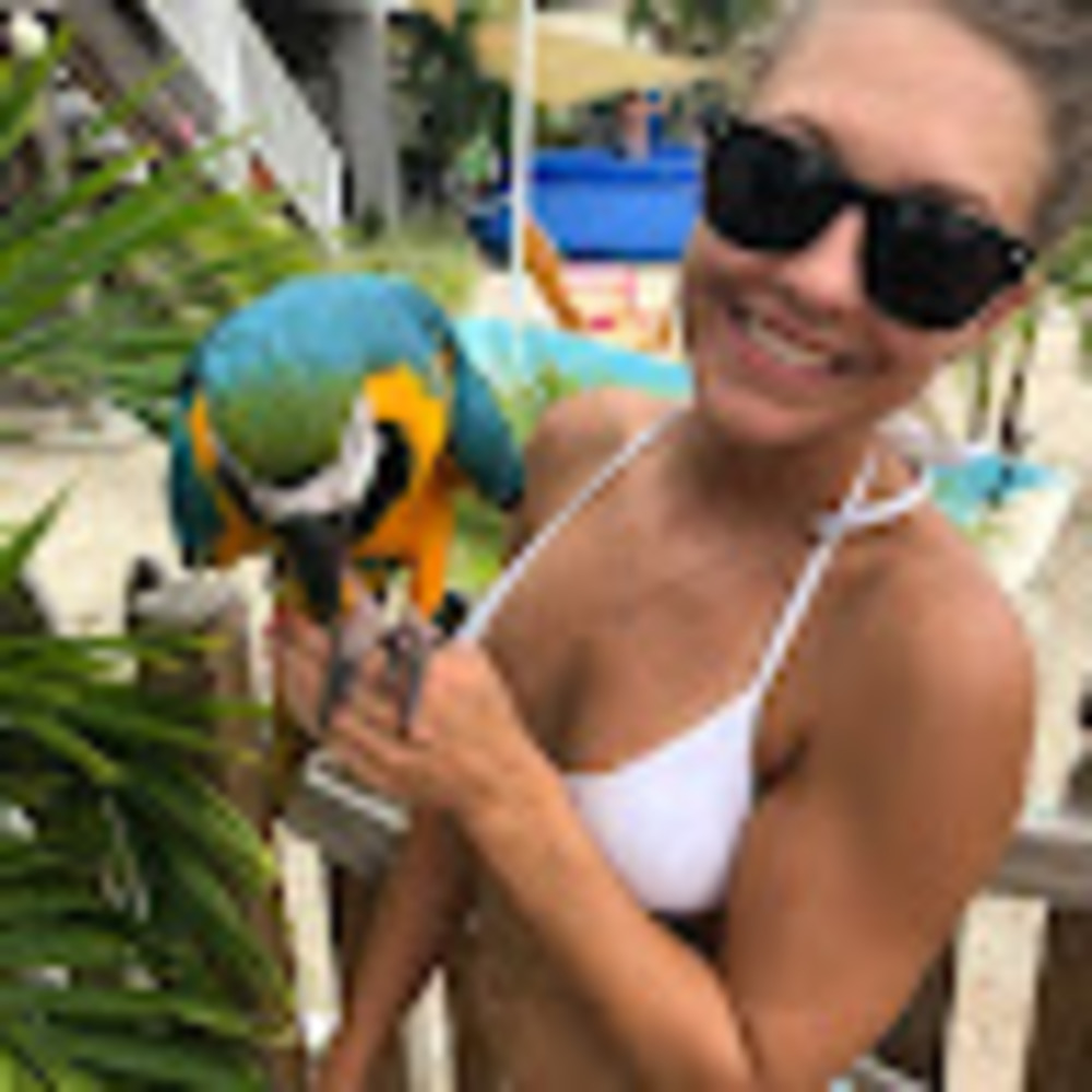 Meet your Posher, Brittan